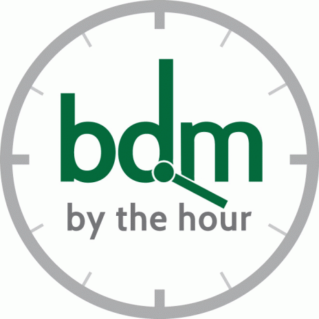BDM by the hour Pty Ltd