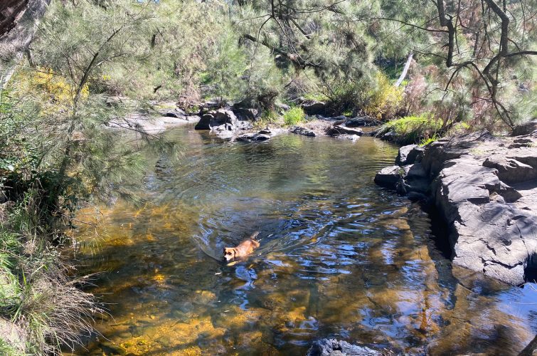 Summer Swimming Spots In The Central West