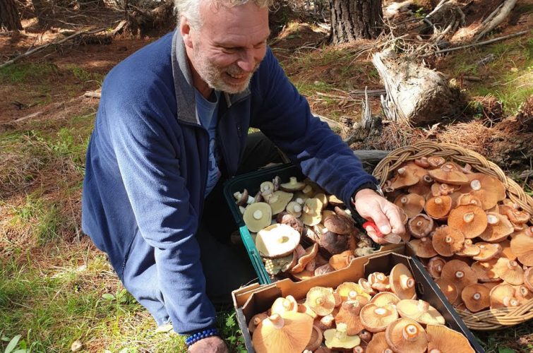 Central West, NSW, Mushroom Foraging