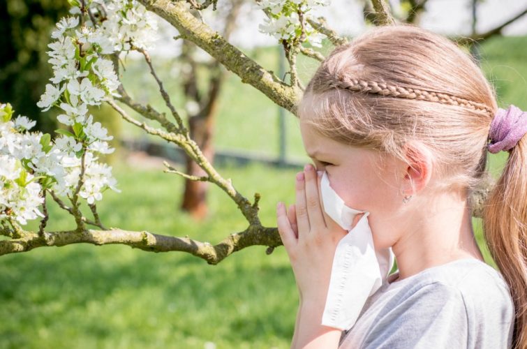 Hay Fever (Allergic Rhinitis), How To Treat